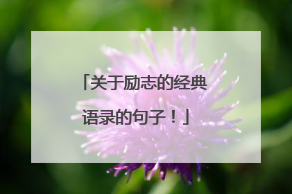 关于励志的经典语录的句子！