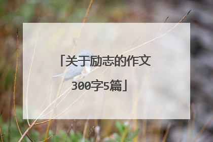 关于励志的作文300字5篇
