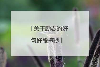 关于励志的好句好段摘抄