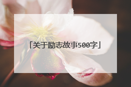 关于励志故事500字