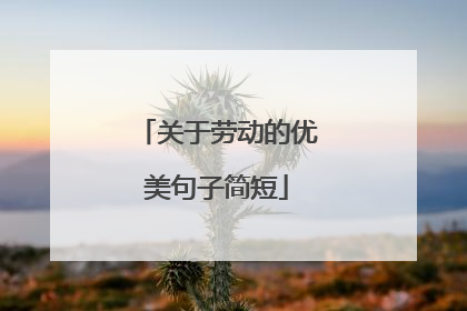 关于劳动的优美句子简短