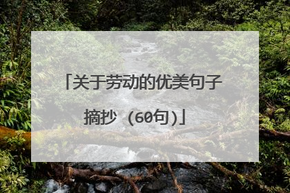关于劳动的优美句子摘抄 (60句)