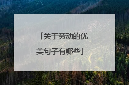 关于劳动的优美句子有哪些