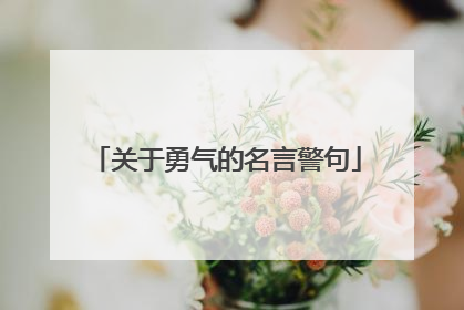 关于勇气的名言警句