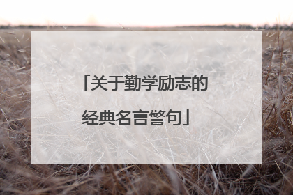 关于勤学励志的经典名言警句