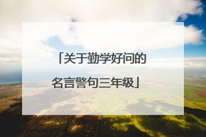 关于勤学好问的名言警句三年级