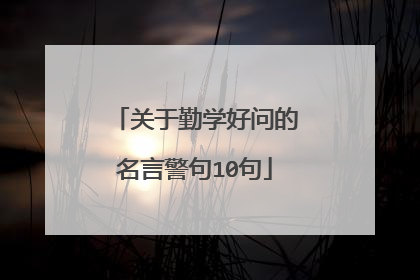 关于勤学好问的名言警句10句