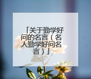 关于勤学好问的名言（名人勤学好问名言）