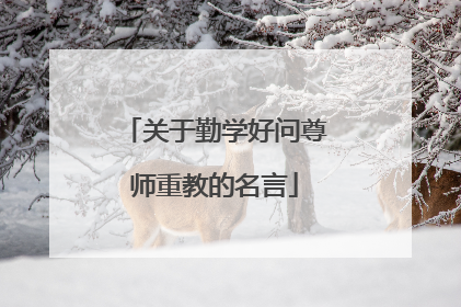 关于勤学好问尊师重教的名言