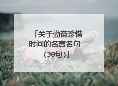 关于勤奋珍惜时间的名言名句 (30句)