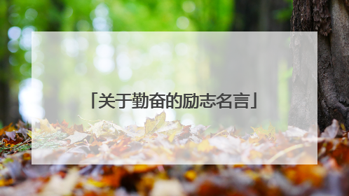 关于勤奋的励志名言