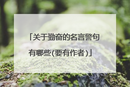 关于勤奋的名言警句有哪些(要有作者)