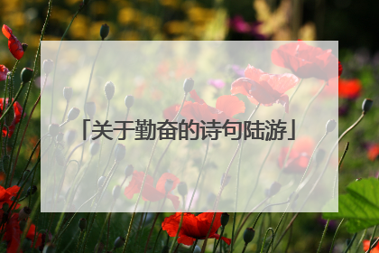 关于勤奋的诗句陆游