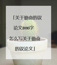 关于勤奋的议论文800字 怎么写关于勤奋的议论文
