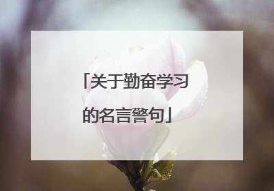 关于勤奋学习的名言警句