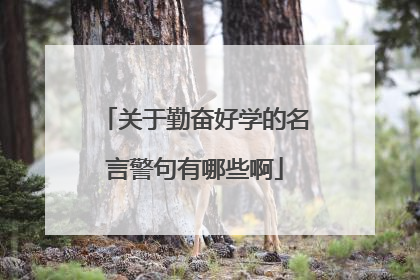 关于勤奋好学的名言警句有哪些啊