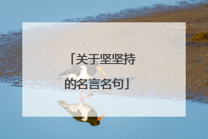 关于坚坚持的名言名句