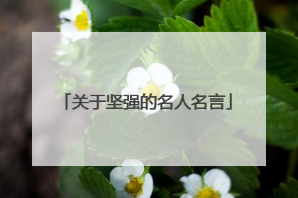 关于坚强的名人名言