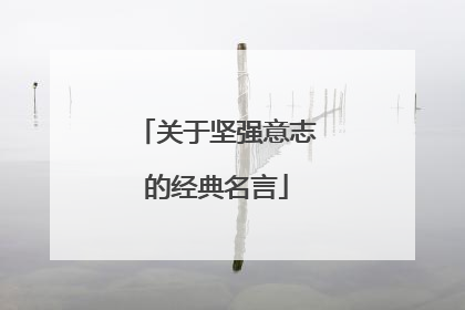 关于坚强意志的经典名言