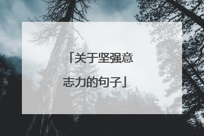 关于坚强意志力的句子