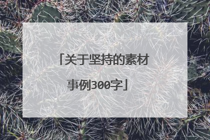 关于坚持的素材事例300字