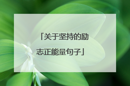 关于坚持的励志正能量句子