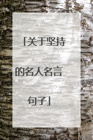 关于坚持的名人名言句子