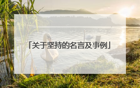关于坚持的名言及事例