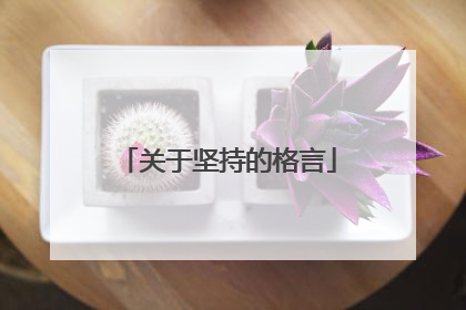 关于坚持的格言