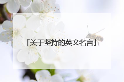 关于坚持的英文名言