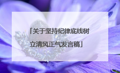 关于坚持纪律底线树立清风正气发言稿