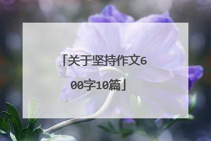 关于坚持作文600字10篇