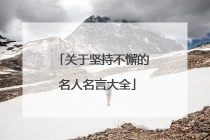 关于坚持不懈的名人名言大全