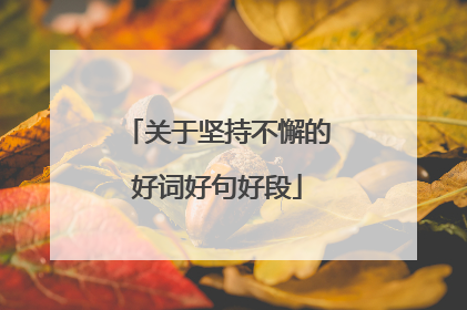 关于坚持不懈的好词好句好段