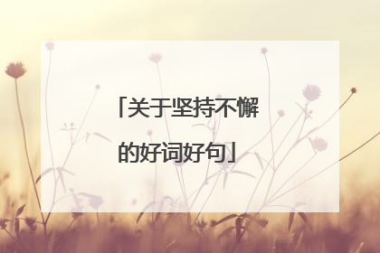 关于坚持不懈的好词好句