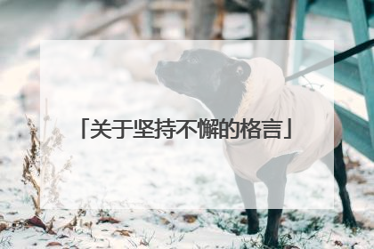 关于坚持不懈的格言
