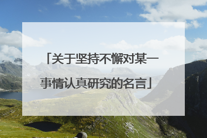 关于坚持不懈对某一事情认真研究的名言