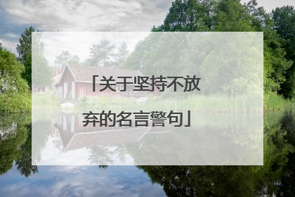 关于坚持不放弃的名言警句