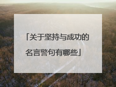 关于坚持与成功的名言警句有哪些