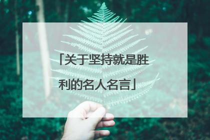 关于坚持就是胜利的名人名言