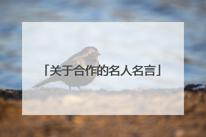 关于合作的名人名言