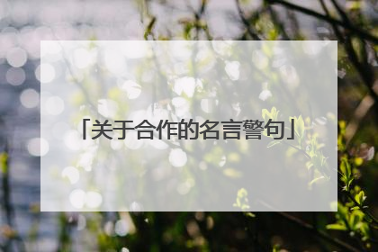 关于合作的名言警句