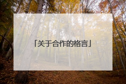 关于合作的格言