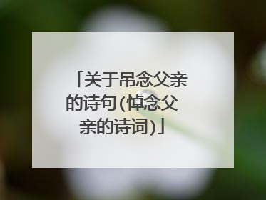 关于吊念父亲的诗句(悼念父亲的诗词)