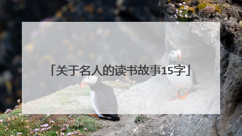 关于名人的读书故事15字