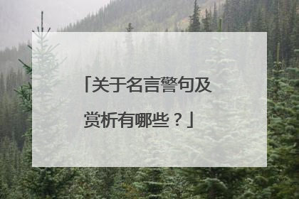 关于名言警句及赏析有哪些？