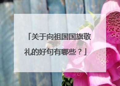 关于向祖国国旗敬礼的好句有哪些？