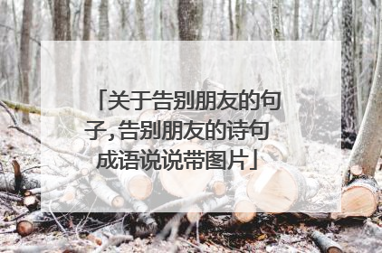 关于告别朋友的句子,告别朋友的诗句成语说说带图片