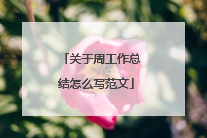 关于周工作总结怎么写范文