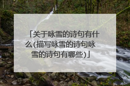 关于咏雪的诗句有什么(描写咏雪的诗句咏雪的诗句有哪些)